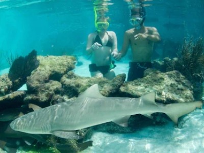 Snorkeling in Tortola